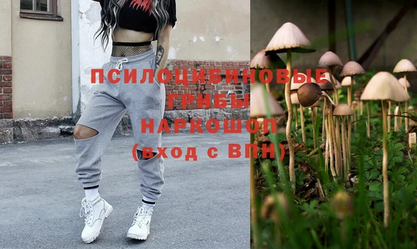 a pvp Алзамай
