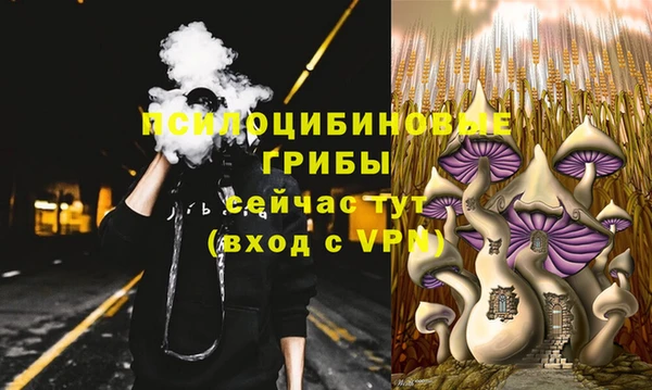 гидропоника Абдулино