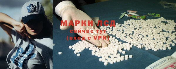 a pvp Алзамай